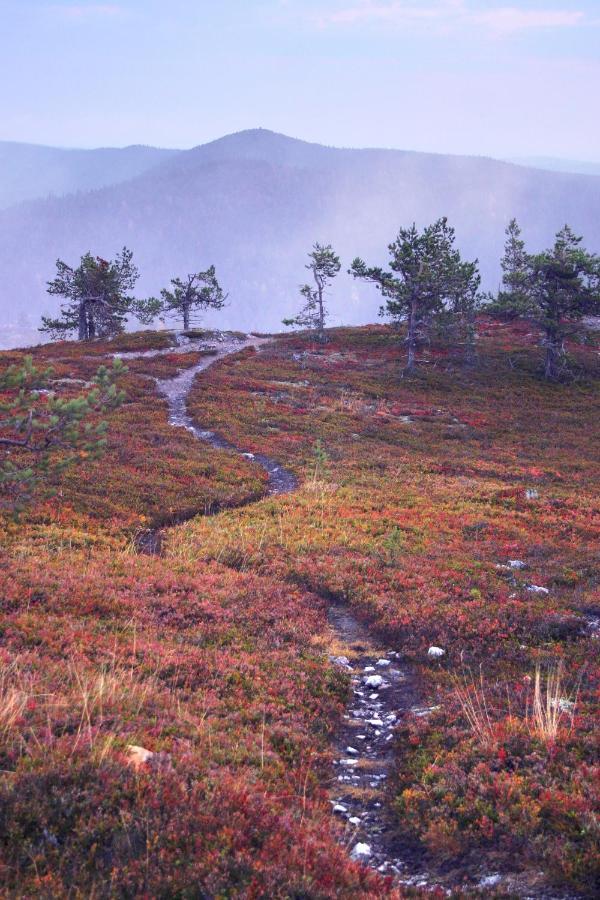 Villa Vuossel Ruka Esterno foto