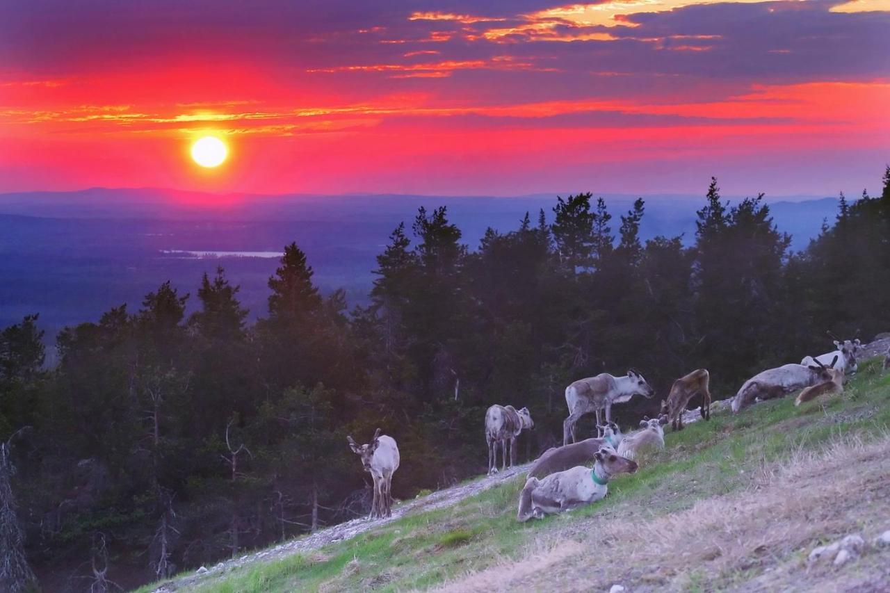 Villa Vuossel Ruka Esterno foto